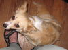 Rudy