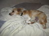 Rudy