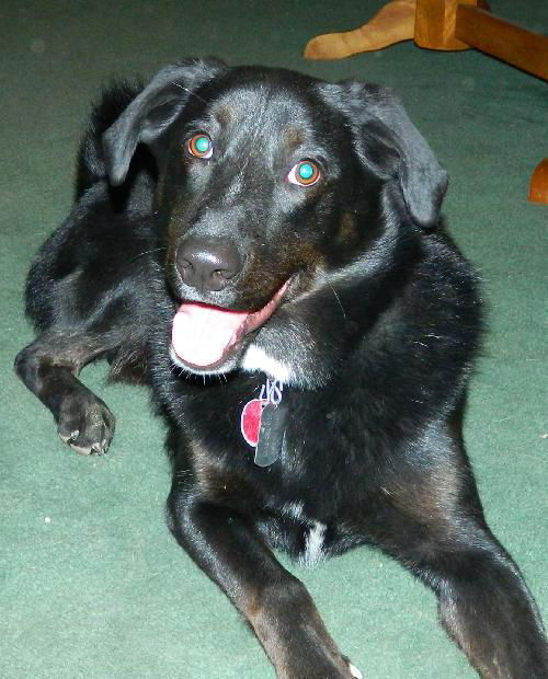 Howie