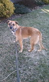 Stella Dora