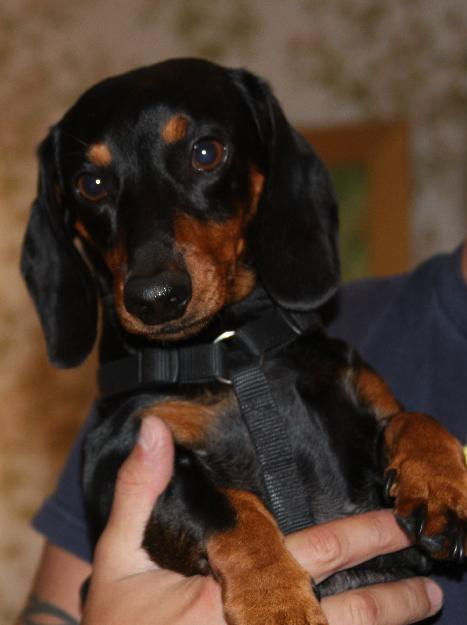 Oscar H