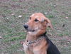 Rudy