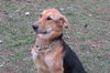 Rudy