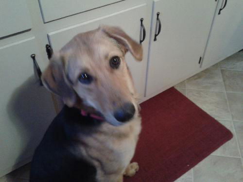 Rudy