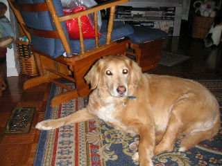 Rusty
