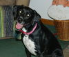 Sheena