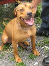 Bruno
