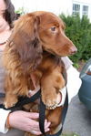 Rusty