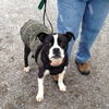 Roscoe  Jr.