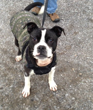 Roscoe  Jr.