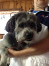 RJ/Rupert