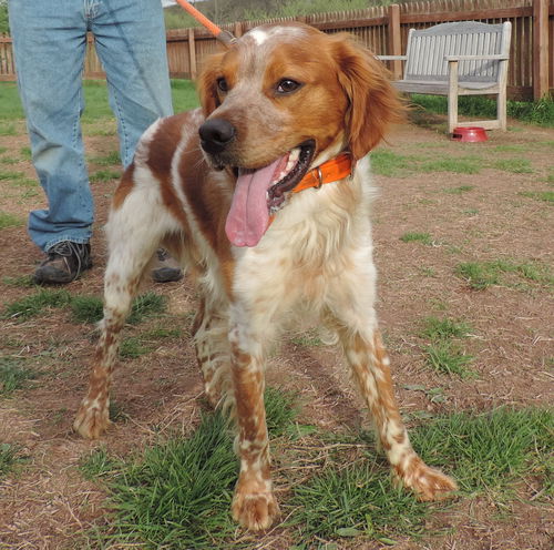 Rusty