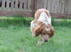 Rusty