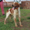 Rusty