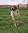 Rusty