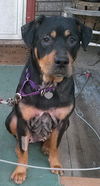 Ruthie