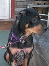 Ruthie