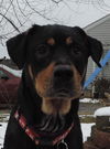 Ruthie