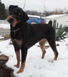 Ruthie