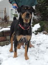 Ruthie