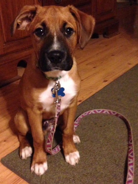 Keyser