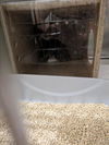 adoptable Cat in upland, CA named A072491