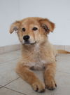 Nala D160881