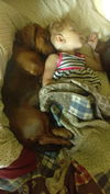 Abbie D161071