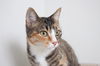 Bailee C160361