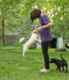 Callie Co D170879