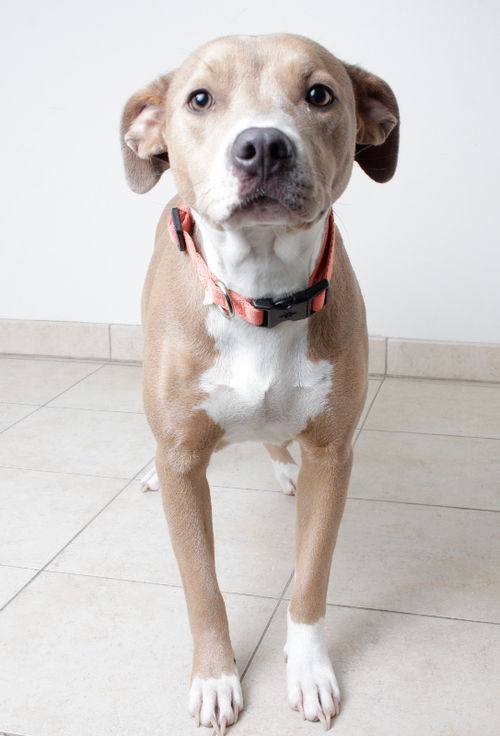 Nala D170970