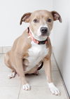 Nala D170970