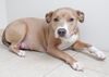 Nala D170970