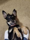 Abbey D172060