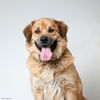 Nala D180030