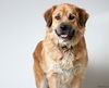 Nala D180030