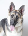 Keisha D180149