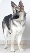 Keisha D180149
