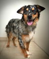 Bailey D181316