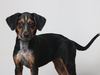 Abby D181660