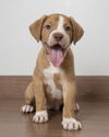 Nala D190136