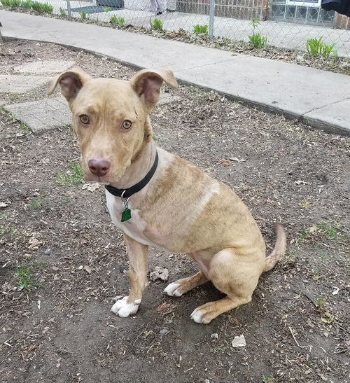 Nala *Tripod* D190621