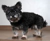 Tuchi D191349