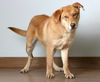 Ian D200060