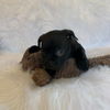 Valentine D200269