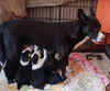 S'MORE D200308