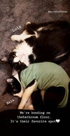 Nala C200092 *bonded w/Lola C200091*