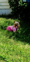 Nadia D200528
