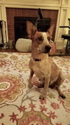BAILEY D200609