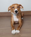 Zelda D200898